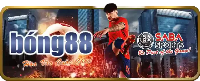 Cập nhật khuyến mãi bw808
